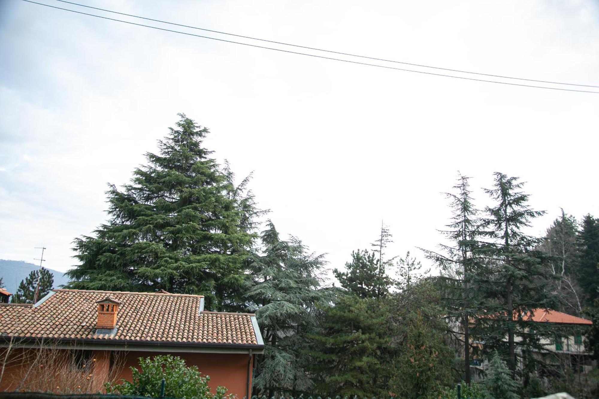 Apartament Casa Di Beppe Citta Alta Bergamo Zewnętrze zdjęcie